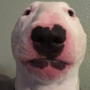 Meet your Posher, Lucas